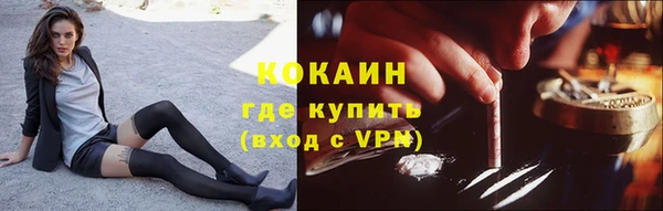 тгк Богданович