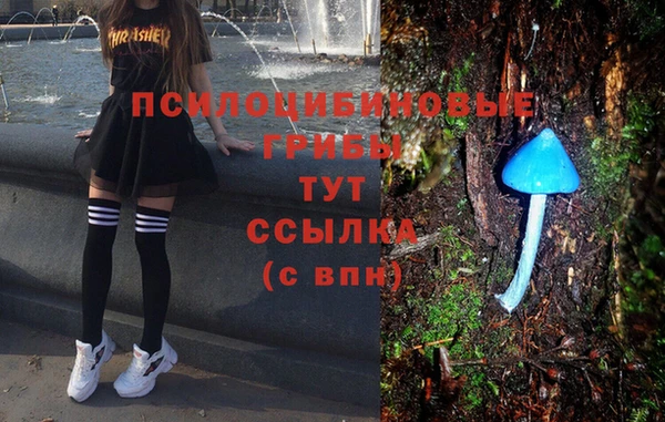 амфетамин Богородск