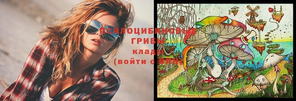 амфетамин Богородск
