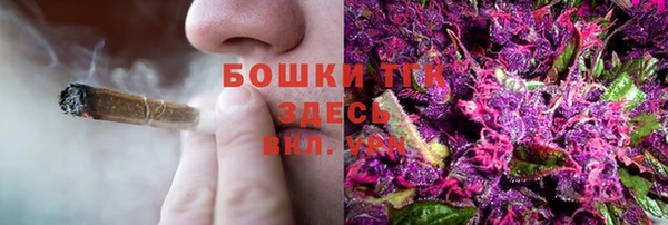 СК Богородицк