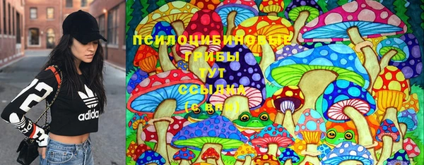 СК Богородицк