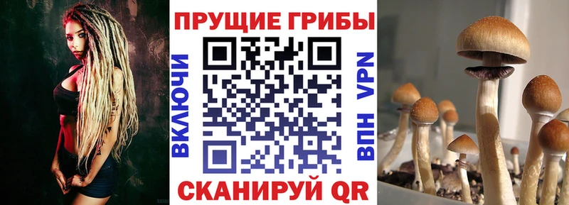 Галлюциногенные грибы Magic Shrooms  MEGA маркетплейс  Волжск 