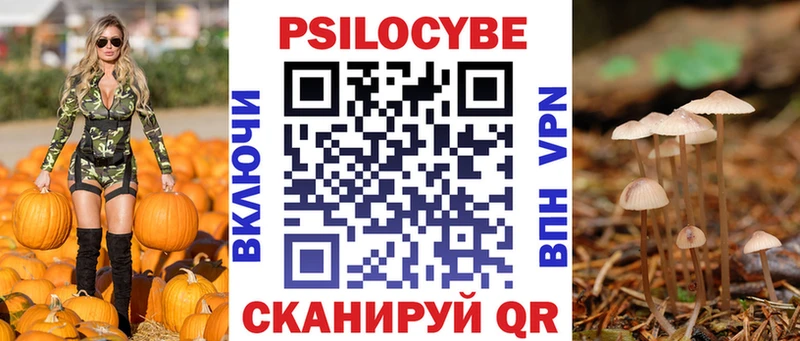 Псилоцибиновые грибы Magic Shrooms Волжск