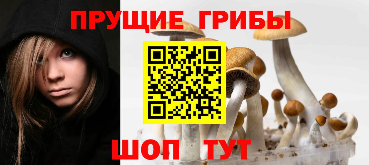 Волжск  Галлюциногенные грибы Cubensis  купить наркотик  Вход с VPN 